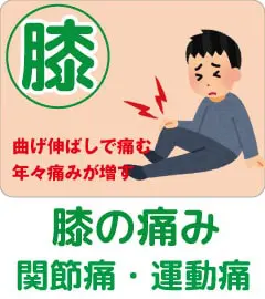 宮崎市の整骨院.整体｜宮崎市骨盤整骨院